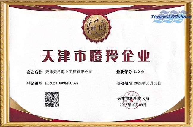 喜報（bào）丨国产丝袜无码一区二区视频海工榮獲“天津市創新型中小企業”和“天津市瞪羚（líng）企業”雙重認定